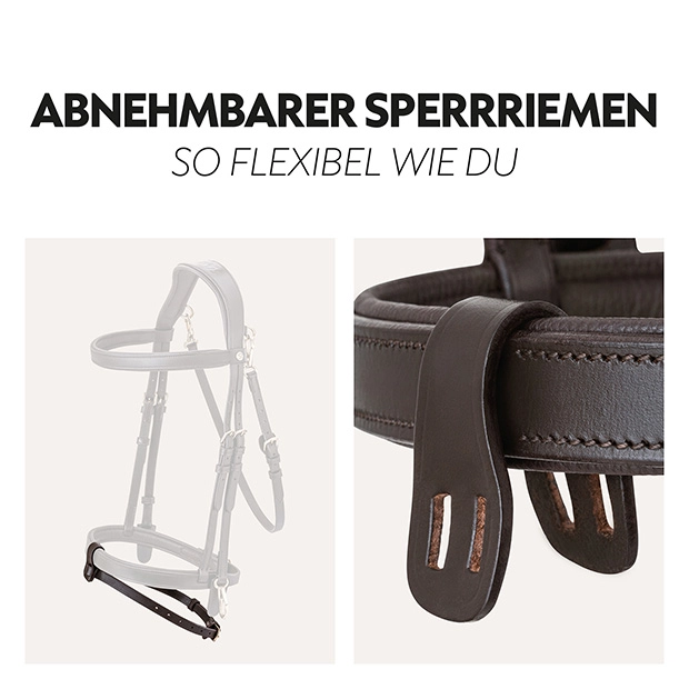 English combined bridle "Berlin" with reins English combined bridle "Berlin" with reins