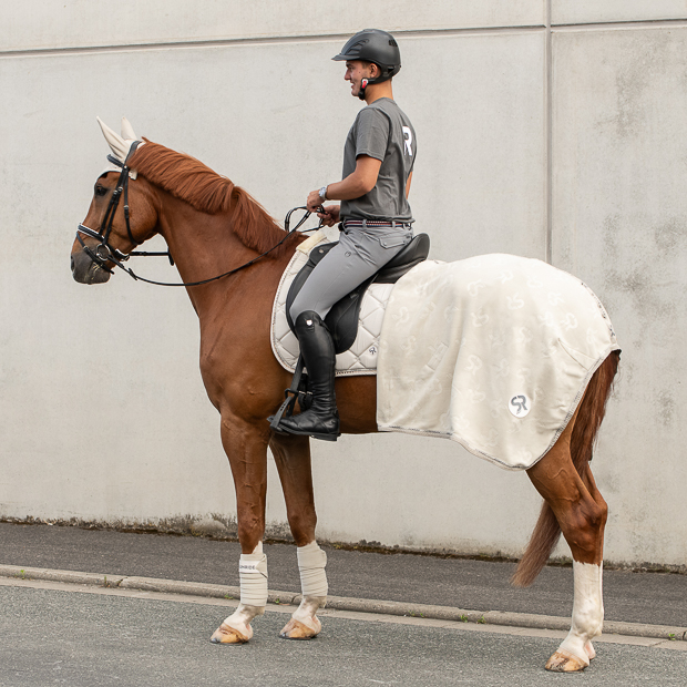 wellington set beige with matching cooler rug, ear net, saddle pad and bandages by sunride on a horse with rider