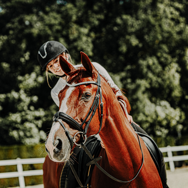swedish leather bridle aspen with glossy nose band and matching gem stones in black with silver mounting including reins on a horse with rider