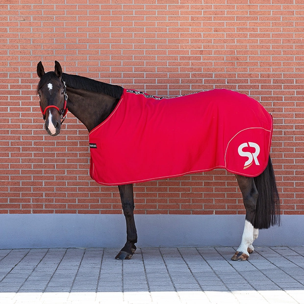 Abschwitzdecke Boston von Sunride sowie ein rotes Halfter Denver von Sunride Ein Pferd steht vor einer roten Ziegelwand und trägt eine rote Abschwitzdecke Boston von Sunride sowie ein rotes Halfter Denver von Sunride