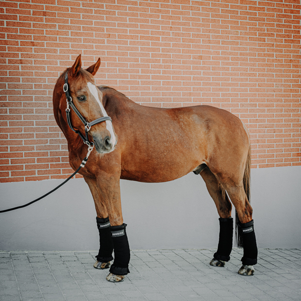 stallbandagen reflektierend schwarz vierer set am pferd schwarze stallbandagen mit reflektierendem sunride schriftzug im vierer set am pferd mit unterlagen