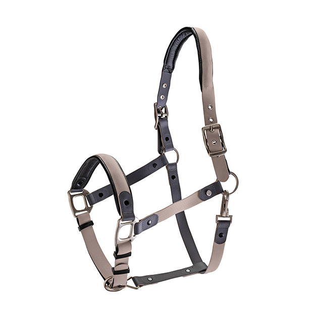 Biothane halter with lead rope