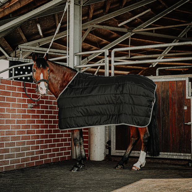 horse with black under rug 150 grams filling and brown leather halter dallas black under rug with 150 grams filling compatible with all sunride winter and rain rugs and brown leather halter dallas on a horse in front of stable