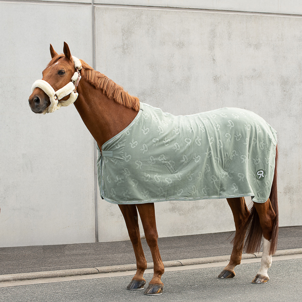 abschwitzdecke wellington olive auf dem pferd sowie leder und fellhalfter dover in braun