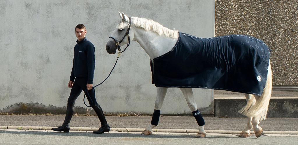 Abschwitzdecke Wellington in Blau Ein Pferd mit SUNRIDE  Fleece Abschwitzdecke in Blau vor einer grauen Wand