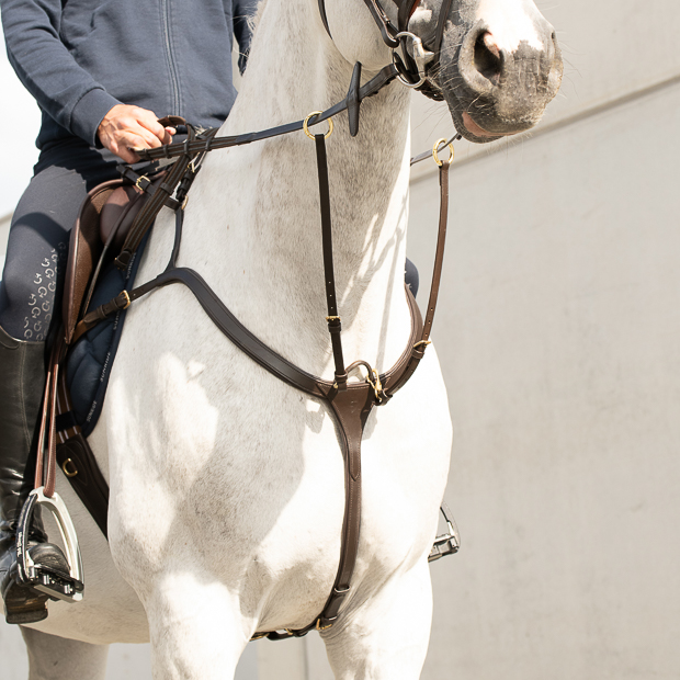 optional three or five point fixation breastplate with martingale ascot in brown leather on a horse