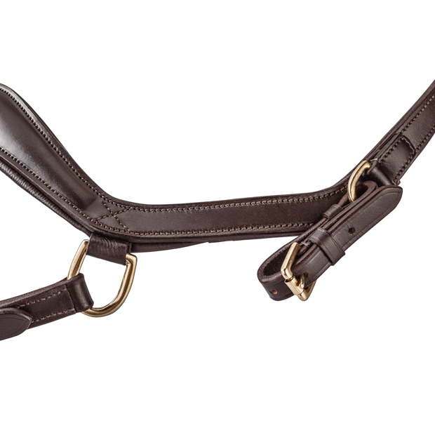 detailed view of bit lashes of english combined brown leather bridle york with golden mounting including reins by sunride 