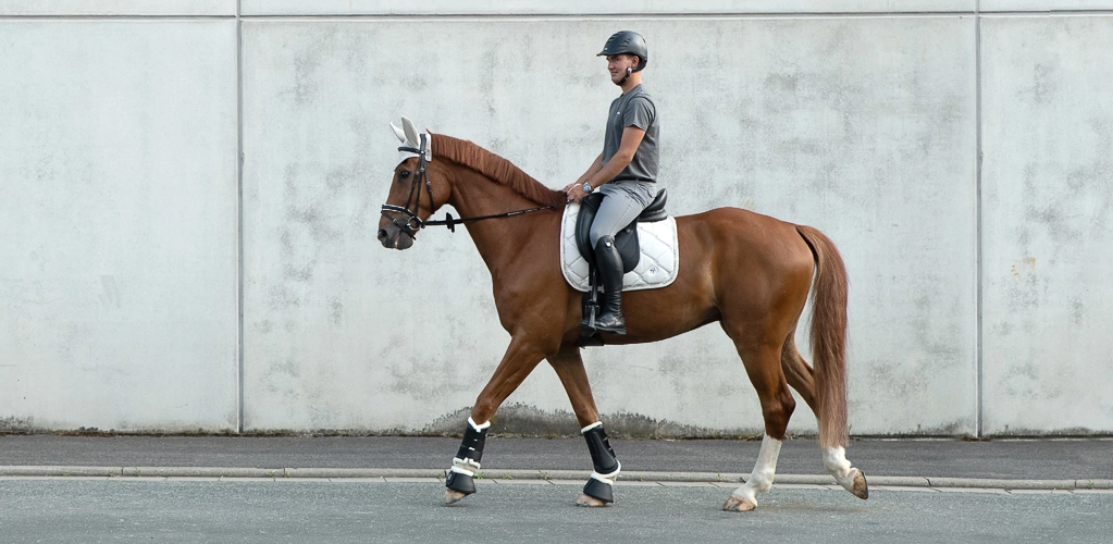Dressurschabracke Wellington Ein Reiter sitzt auf einem Pferd mit einer weißen Dressurschabracke und reitet an einer grauen Betonwand entlang